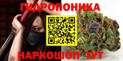 СК Лесосибирск