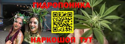 СК Лесосибирск