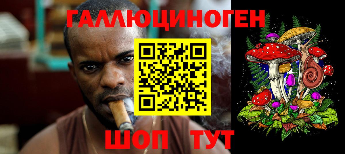 Дмитров  Галлюциногенные грибы Cubensis  Вход с VPN  Галлюциногенные грибы MAGIC MUSHROOMS 